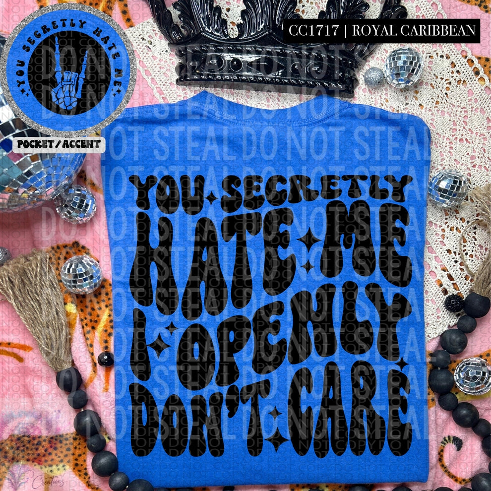 Secretly Hate Openly Don't Care