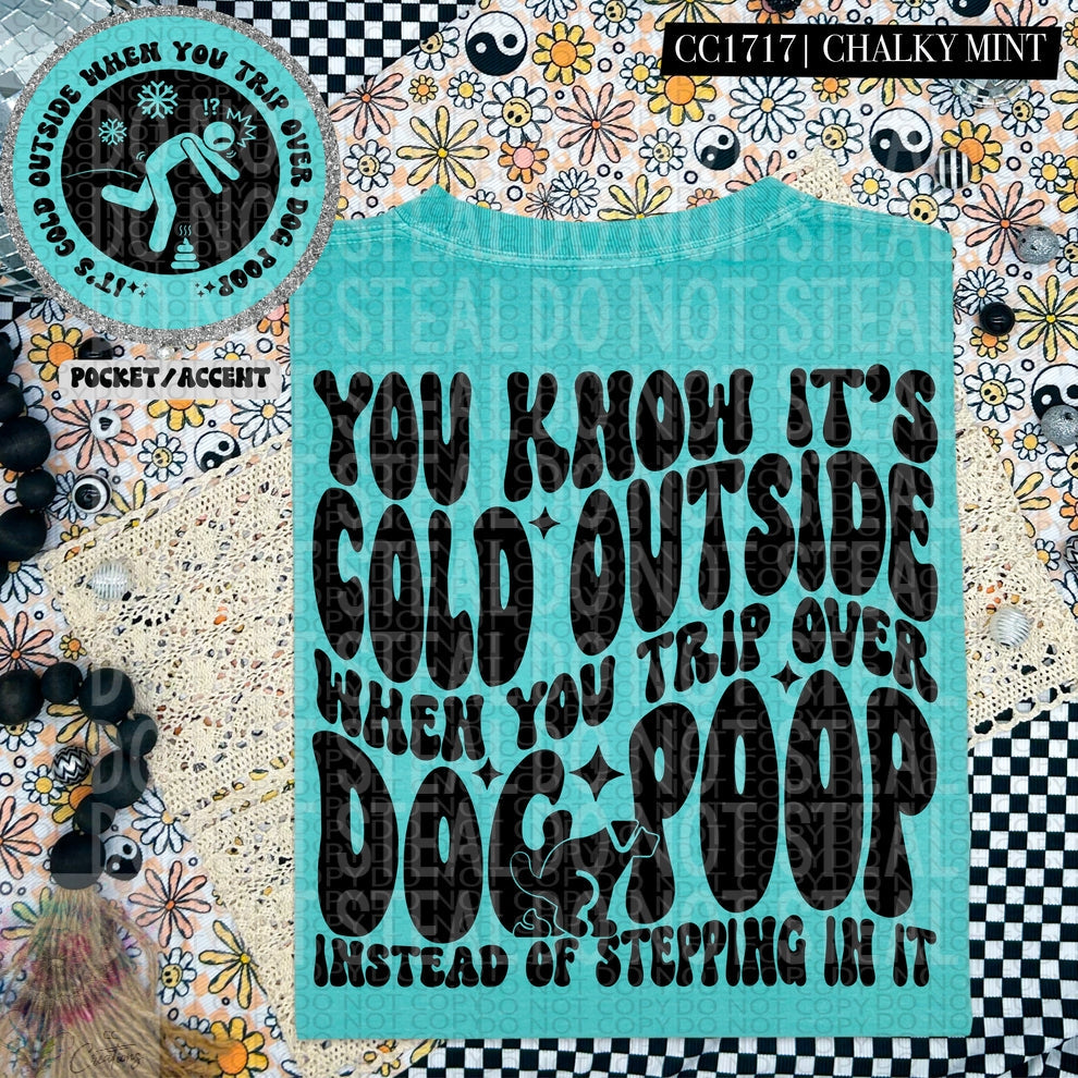 Cold Outside- Trip over Dog Poop