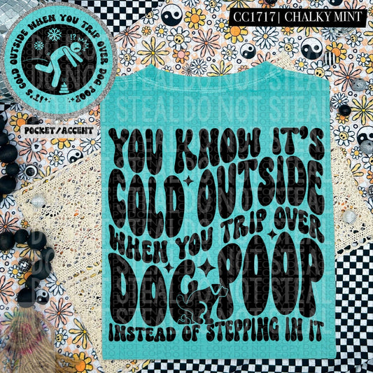 Cold Outside- Trip over Dog Poop
