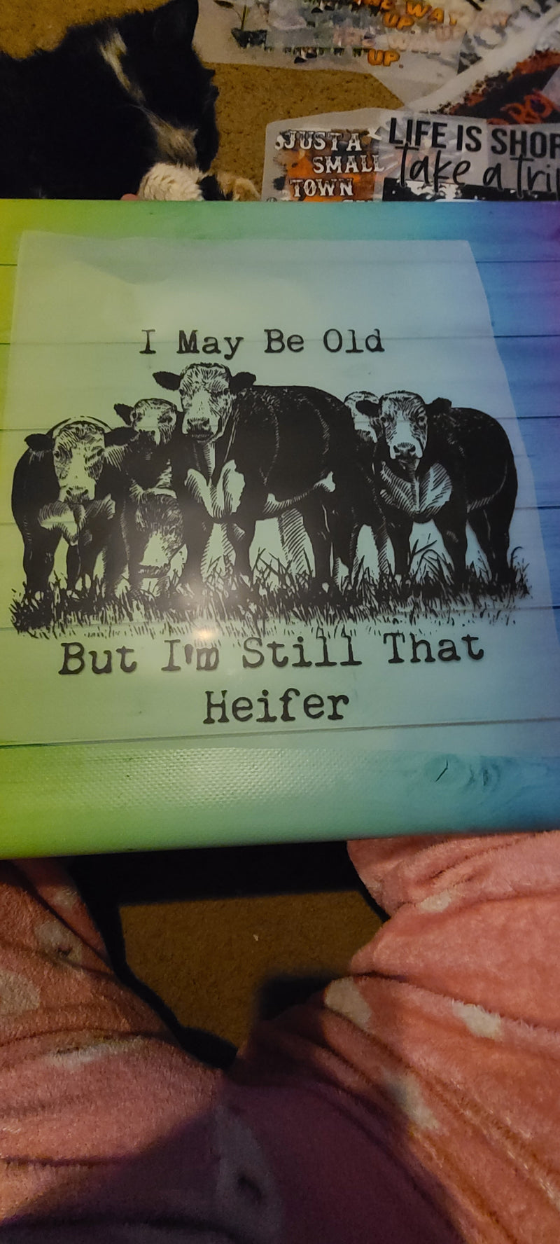 Old Heifer